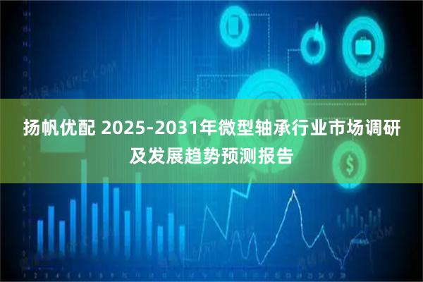 扬帆优配 2025-2031年微型轴承行业市场调研及发展趋势预测报告