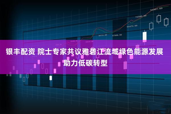 银丰配资 院士专家共议雅砻江流域绿色能源发展 助力低碳转型