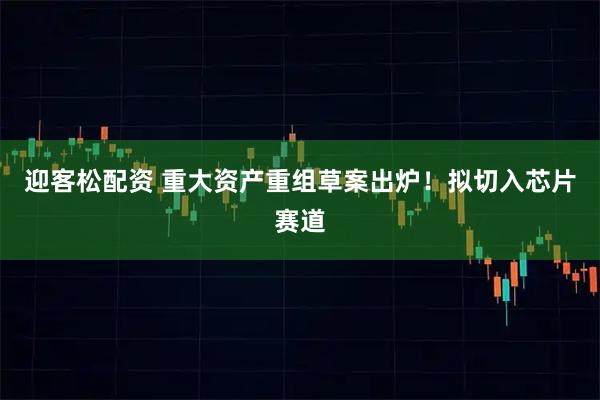 迎客松配资 重大资产重组草案出炉！拟切入芯片赛道